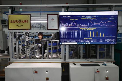 完整準(zhǔn)確全面貫徹新發(fā)展理念 堅定不移推動區(qū)域高質(zhì)量發(fā)展